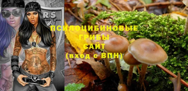 ALPHA PVP Вяземский