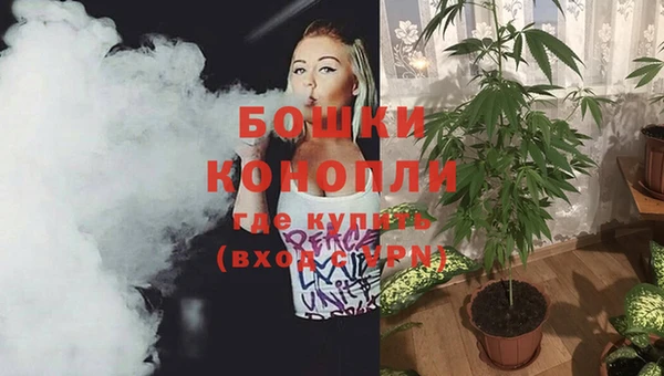 мдпв Волоколамск