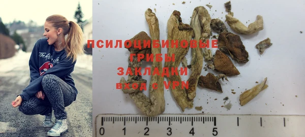 твердый Вязьма