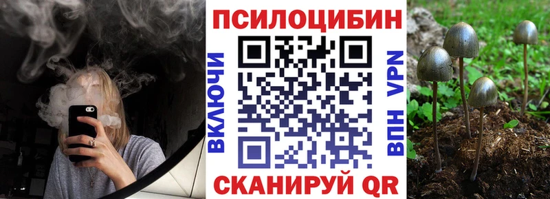 Галлюциногенные грибы MAGIC MUSHROOMS  Тула 